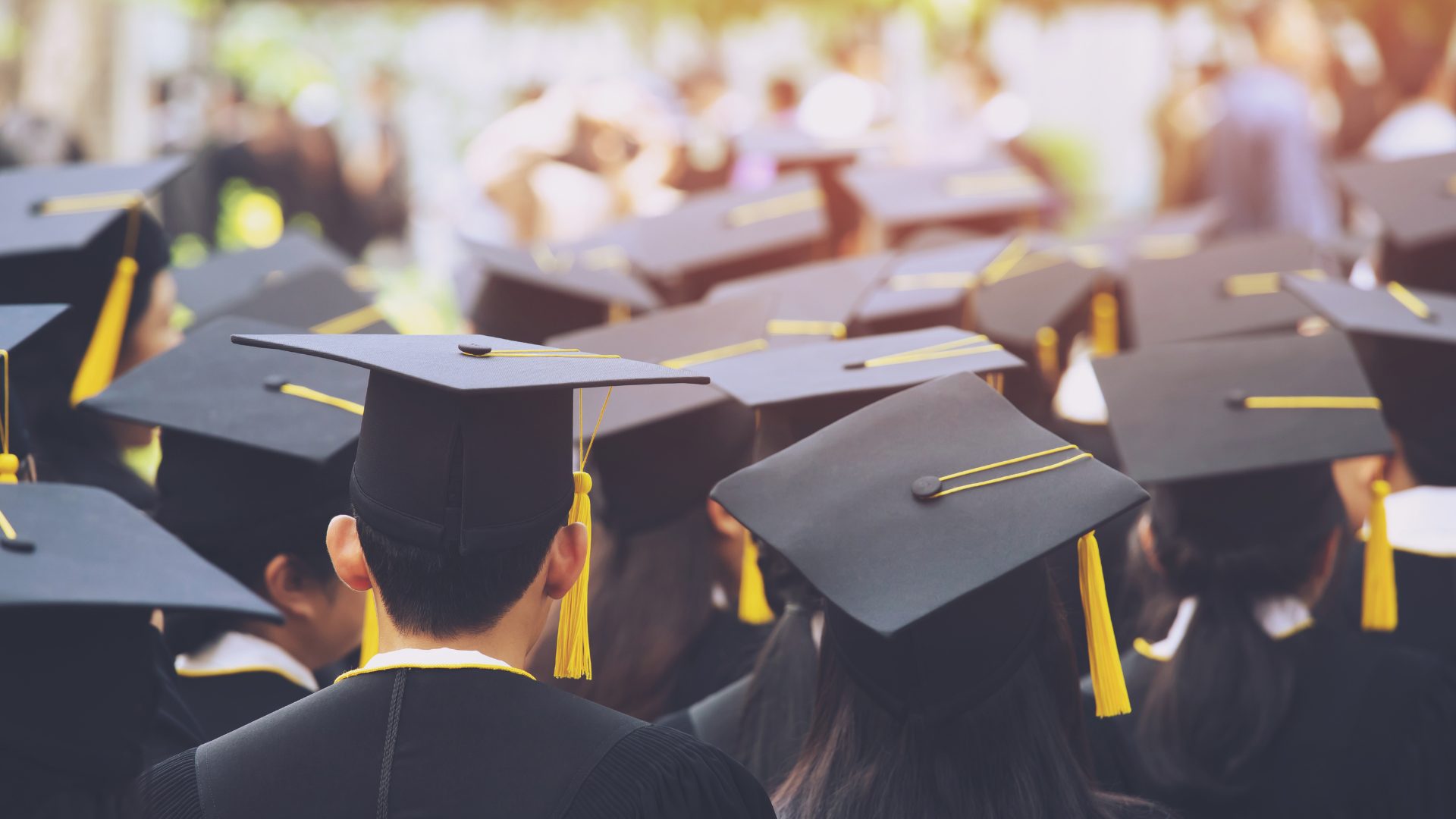 Alumni Story